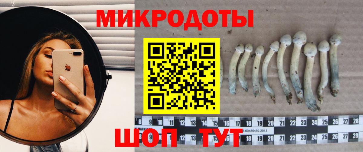 Рязань  Галлюциногенные грибы мицелий  Вход с VPN  Псилоцибиновые грибы MAGIC MUSHROOMS 