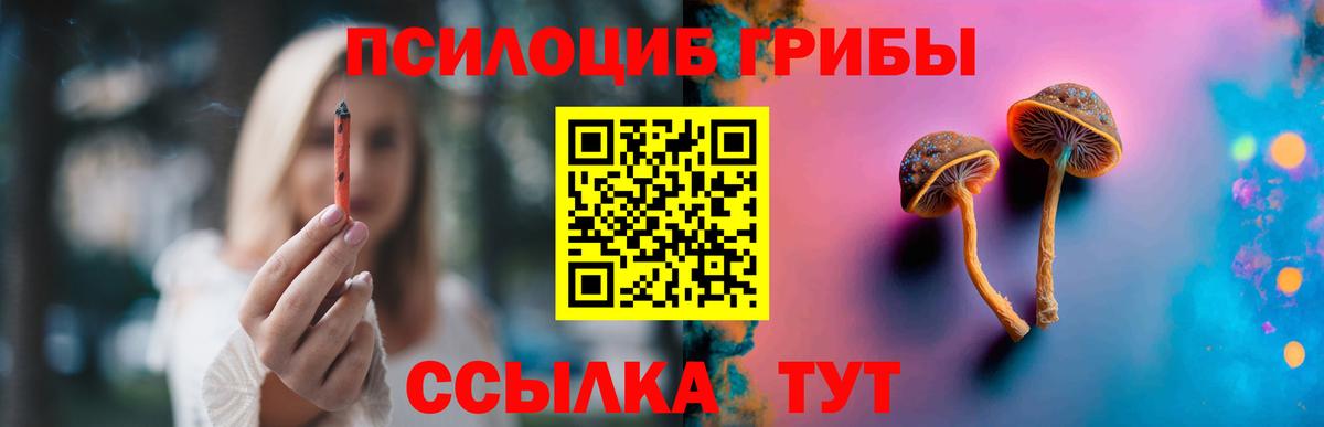 Галлюциногенные грибы Cubensis Рязань